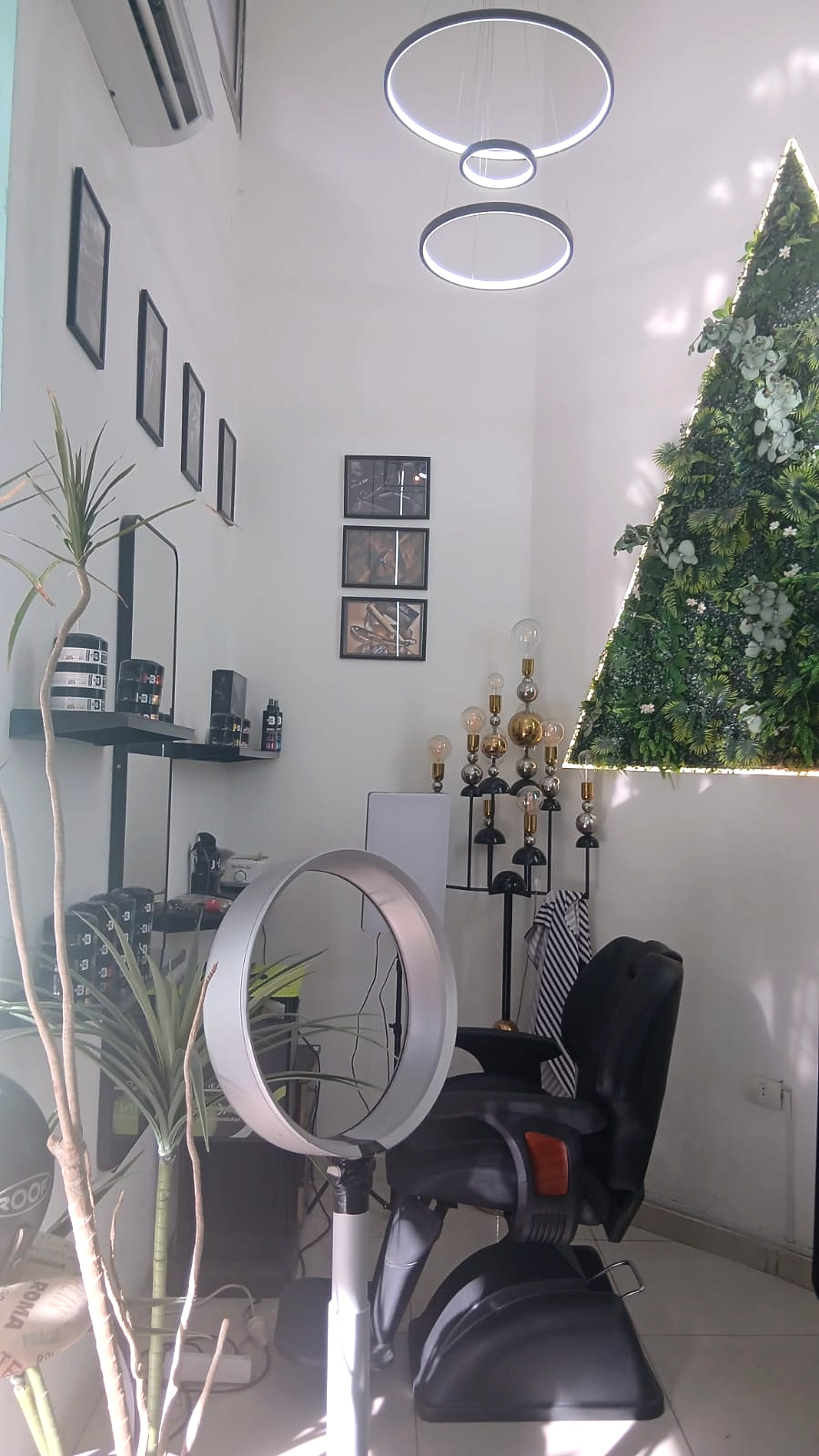 Ring pendant lights above the chair beside the brass bulb sculpture